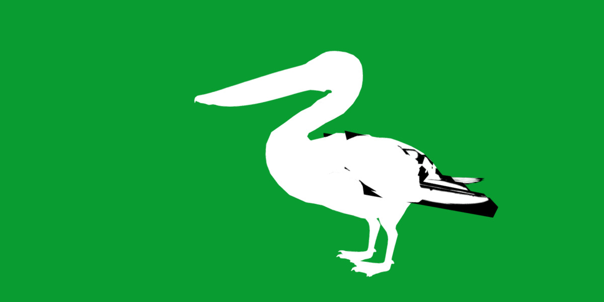 Pelican Bird Low-poly 3D model_10