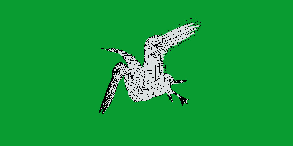 Pelican Bird Low-poly 3D model_15