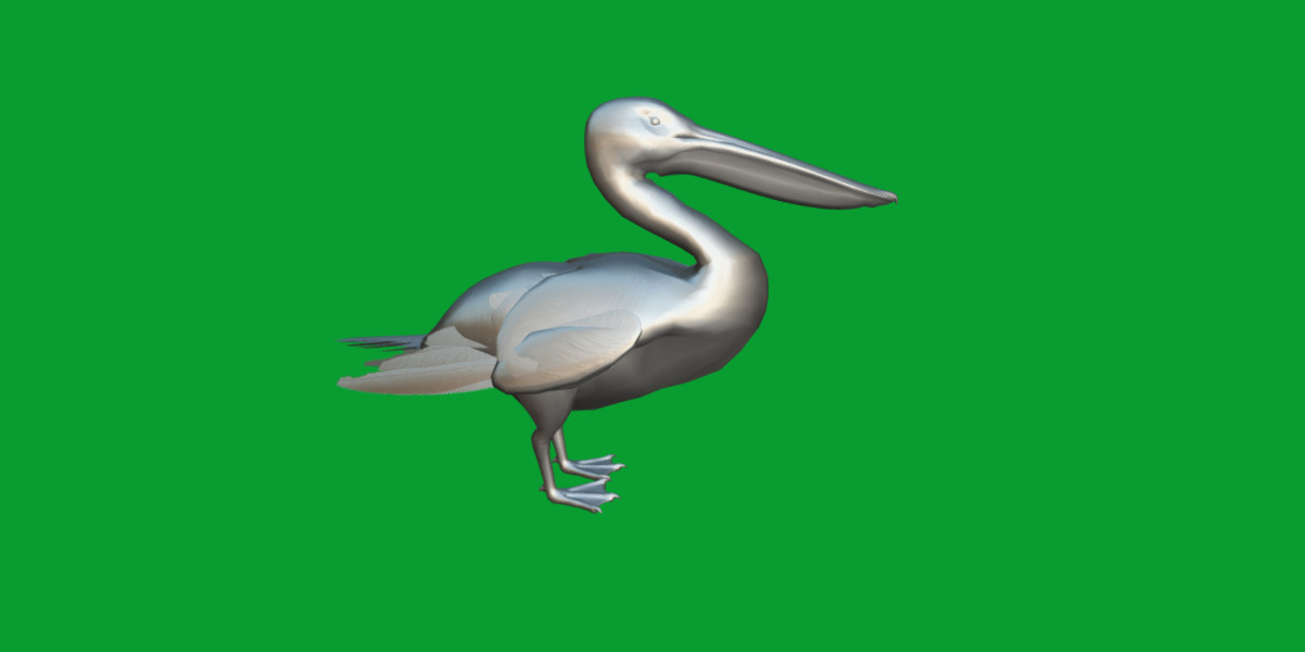 Pelican Bird Low-poly 3D model_13