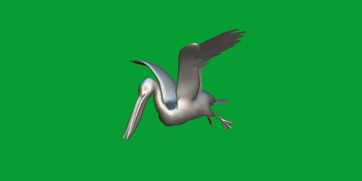 Pelican Bird Low-poly 3D model_14
