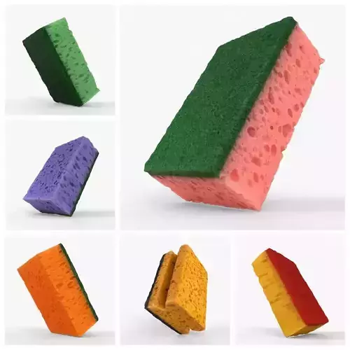 Photorealistic 3D scanning of different sponges 3D Model Collection
