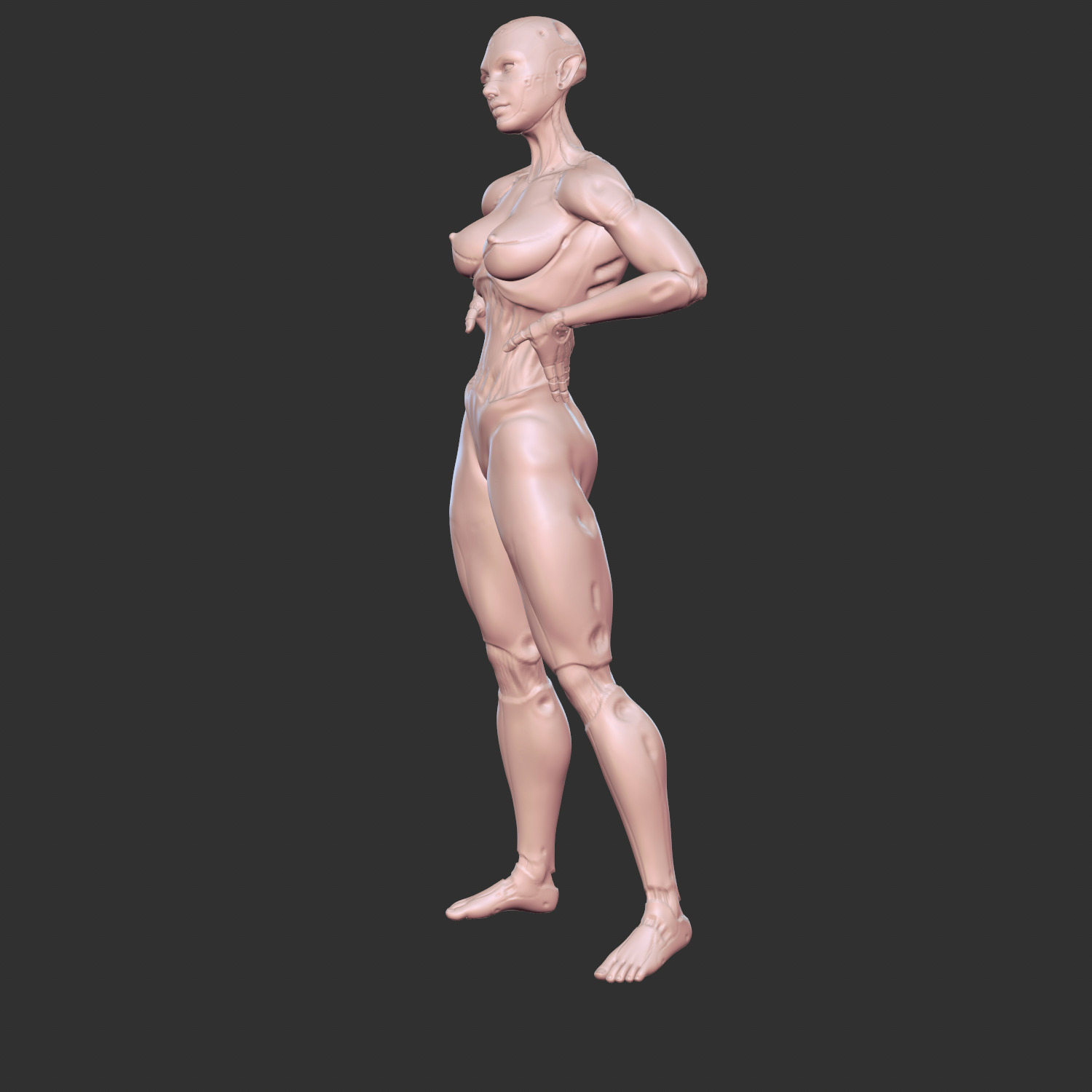 Erotic AI Sex Doll 3D Model for Resin Printing 3D print model_1