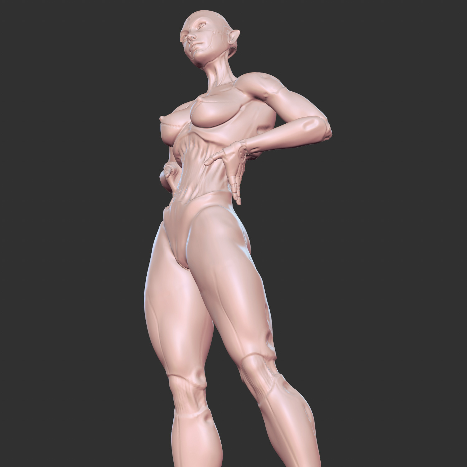 Erotic AI Sex Doll 3D Model for Resin Printing 3D print model_4