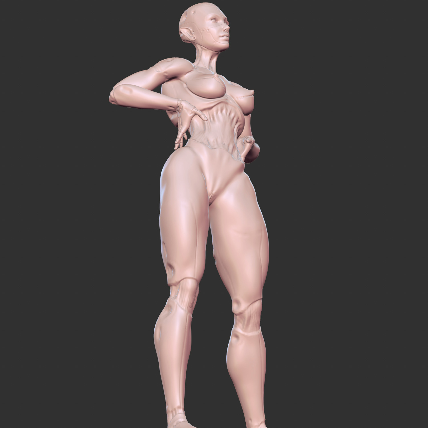 Erotic AI Sex Doll 3D Model for Resin Printing 3D print model_6