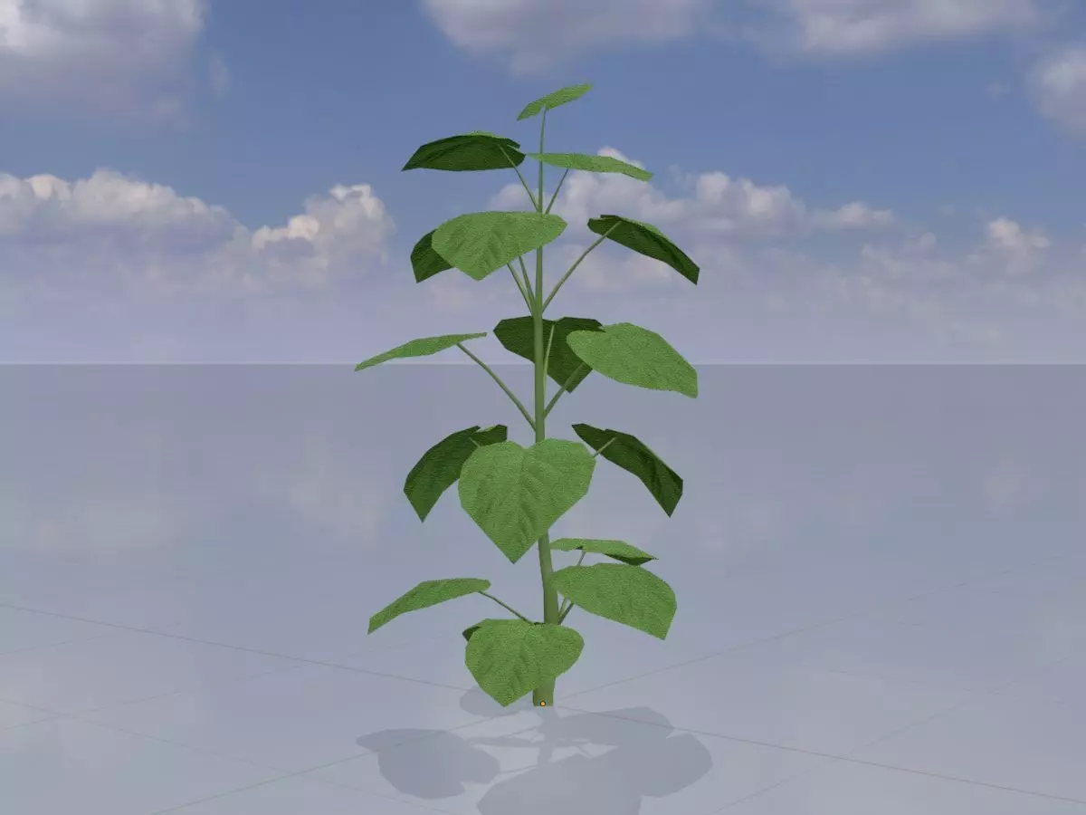 Empress tree summer LOD2 2000mm Low-poly 3D model_0