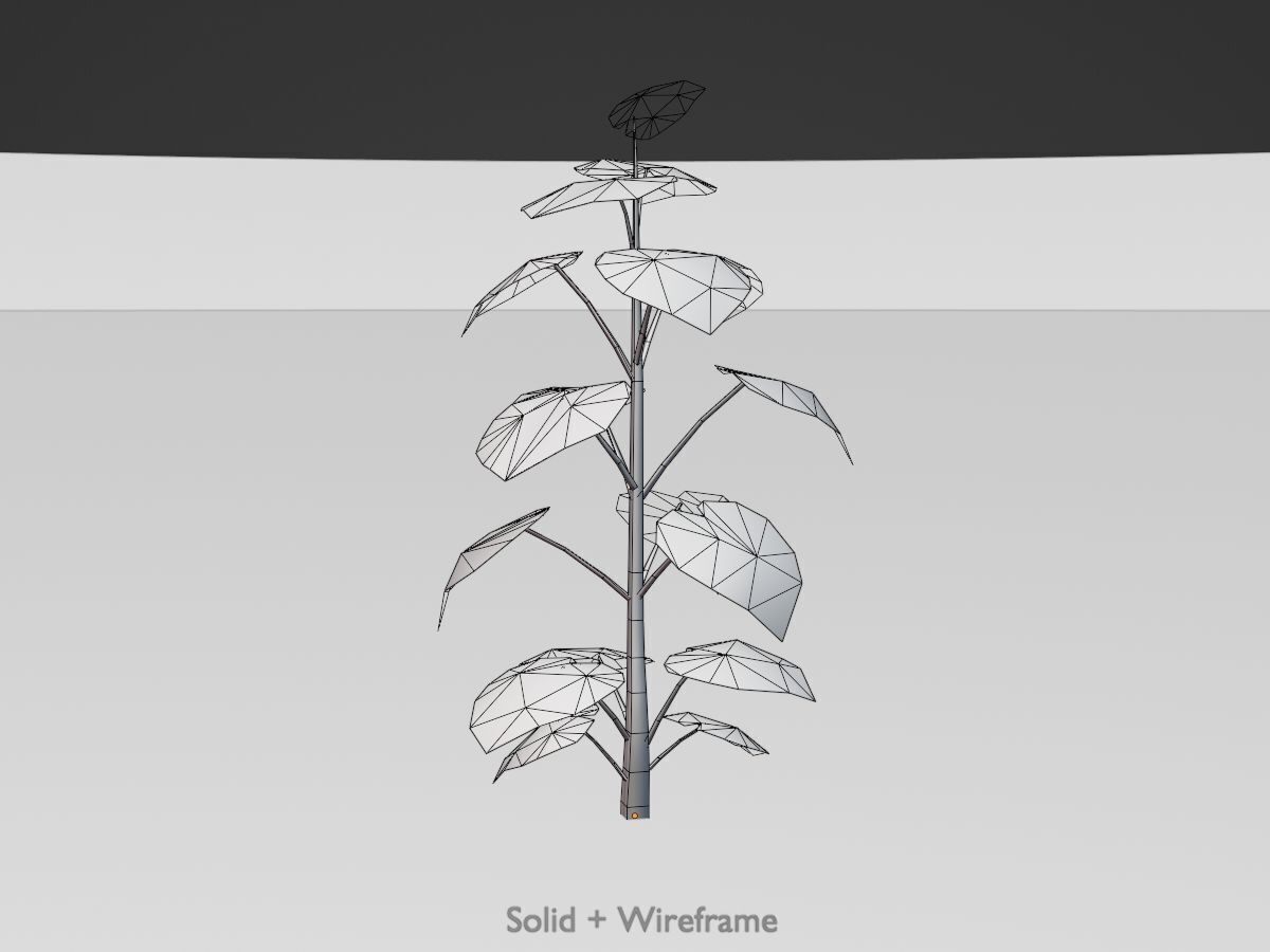 Empress tree summer LOD2 2000mm Low-poly 3D model_10