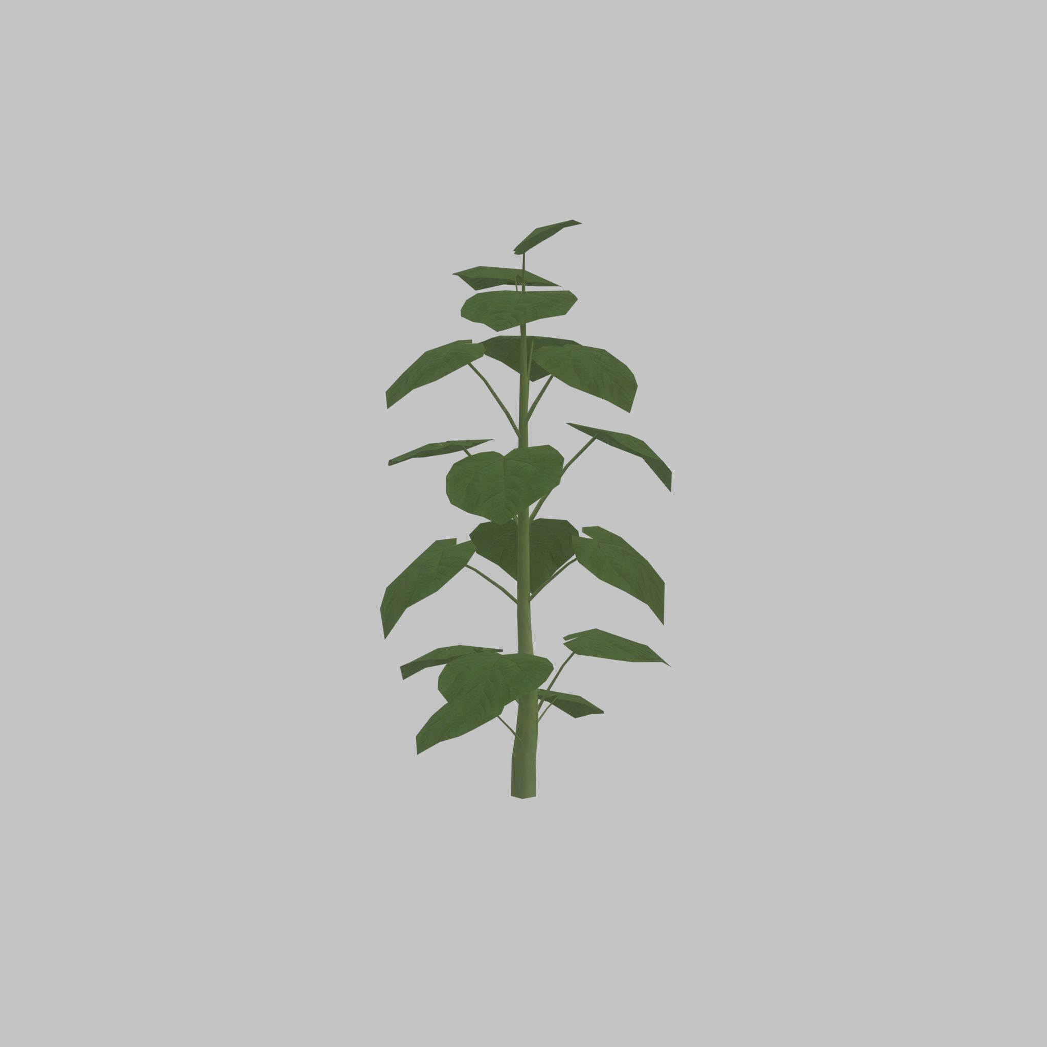 Empress tree summer LOD2 2000mm Low-poly 3D model_37