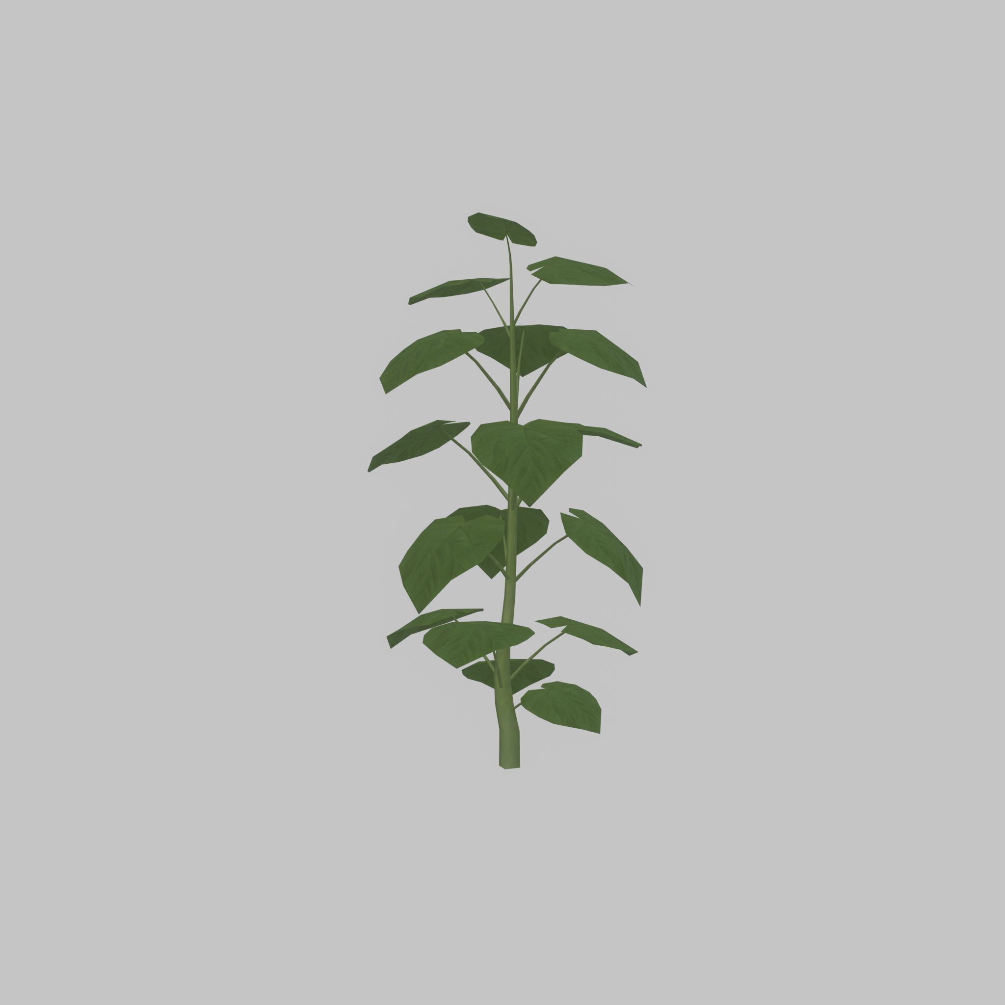 Empress tree summer LOD2 2000mm Low-poly 3D model_43