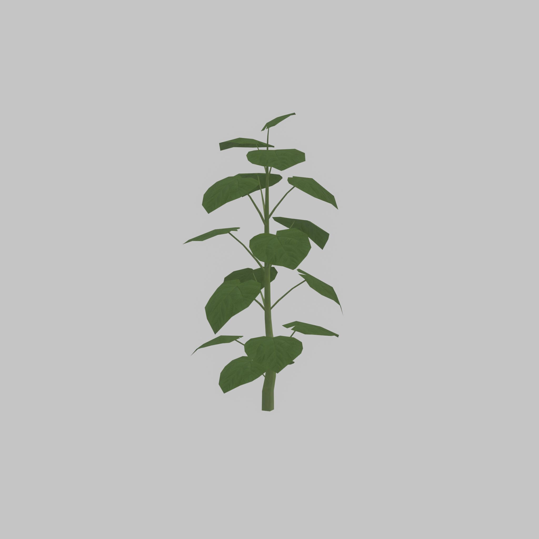 Empress tree summer LOD2 2000mm Low-poly 3D model_35