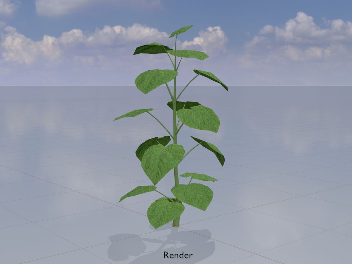 Empress tree summer LOD2 2000mm Low-poly 3D model_13