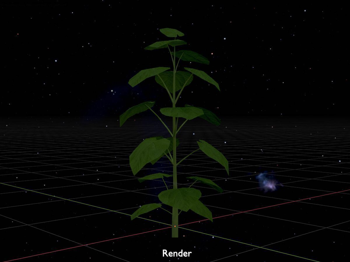 Empress tree summer LOD2 2000mm Low-poly 3D model_20