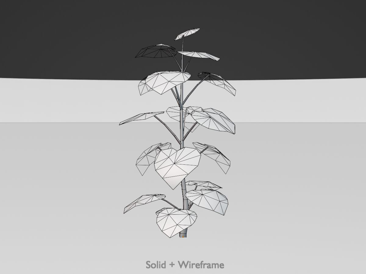 Empress tree summer LOD2 2000mm Low-poly 3D model_9