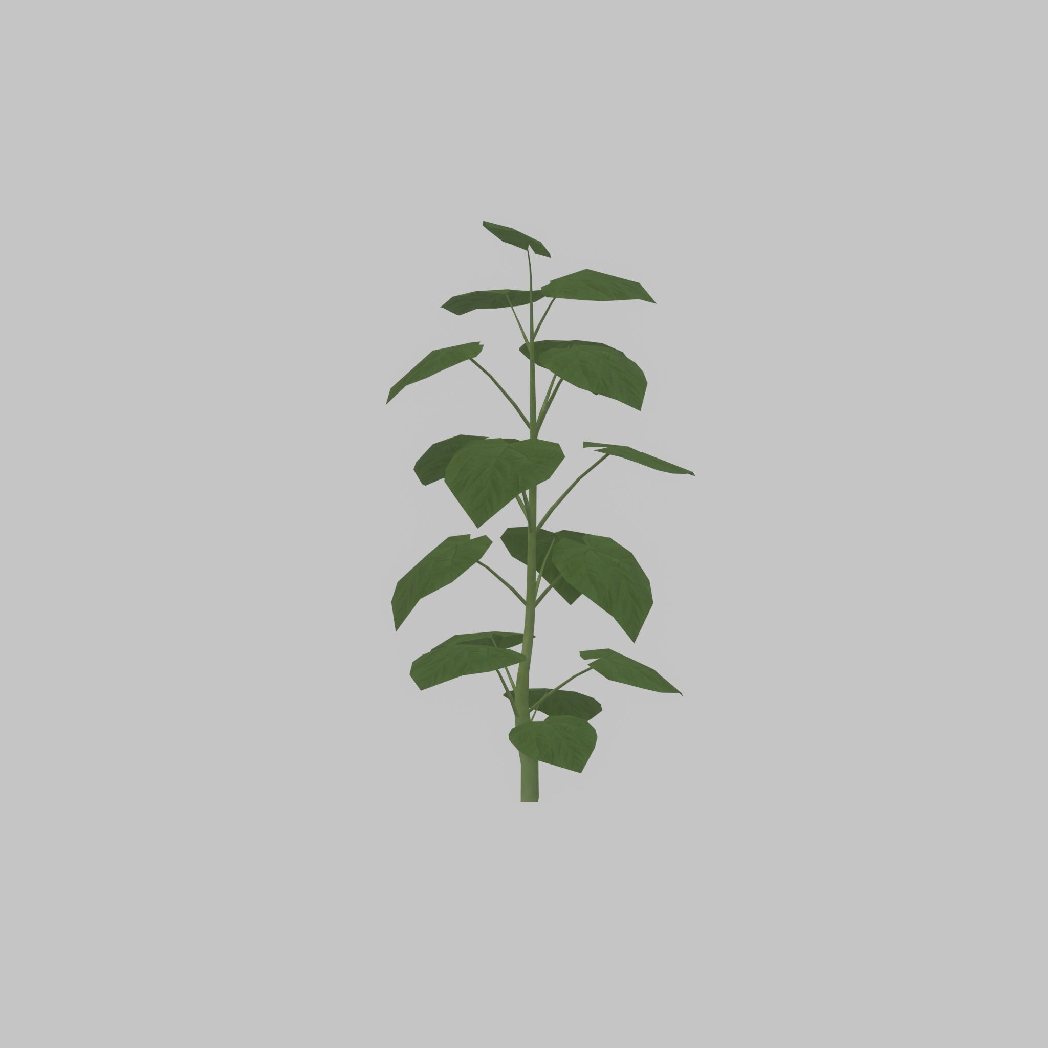 Empress tree summer LOD2 2000mm Low-poly 3D model_46