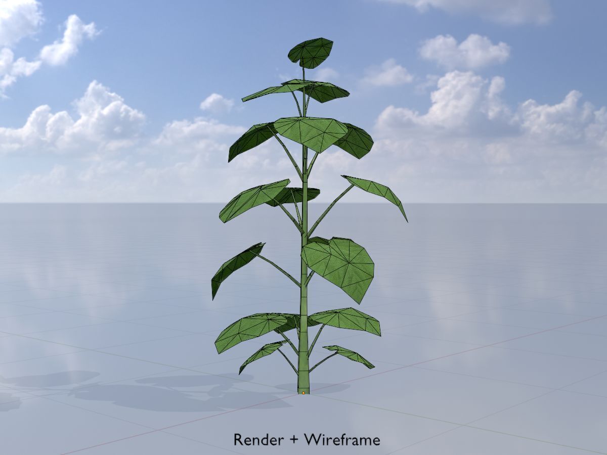 Empress tree summer LOD2 2000mm Low-poly 3D model_6