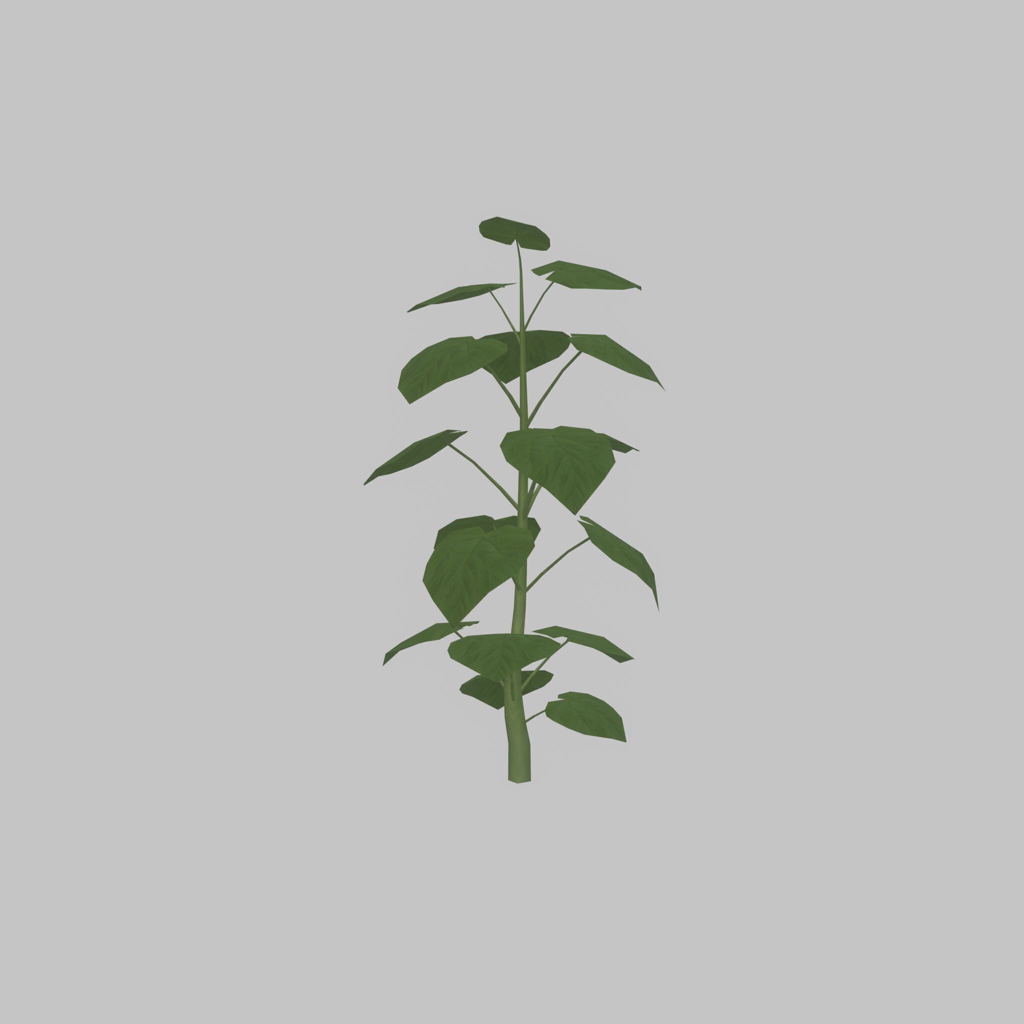 Empress tree summer LOD2 2000mm Low-poly 3D model_32