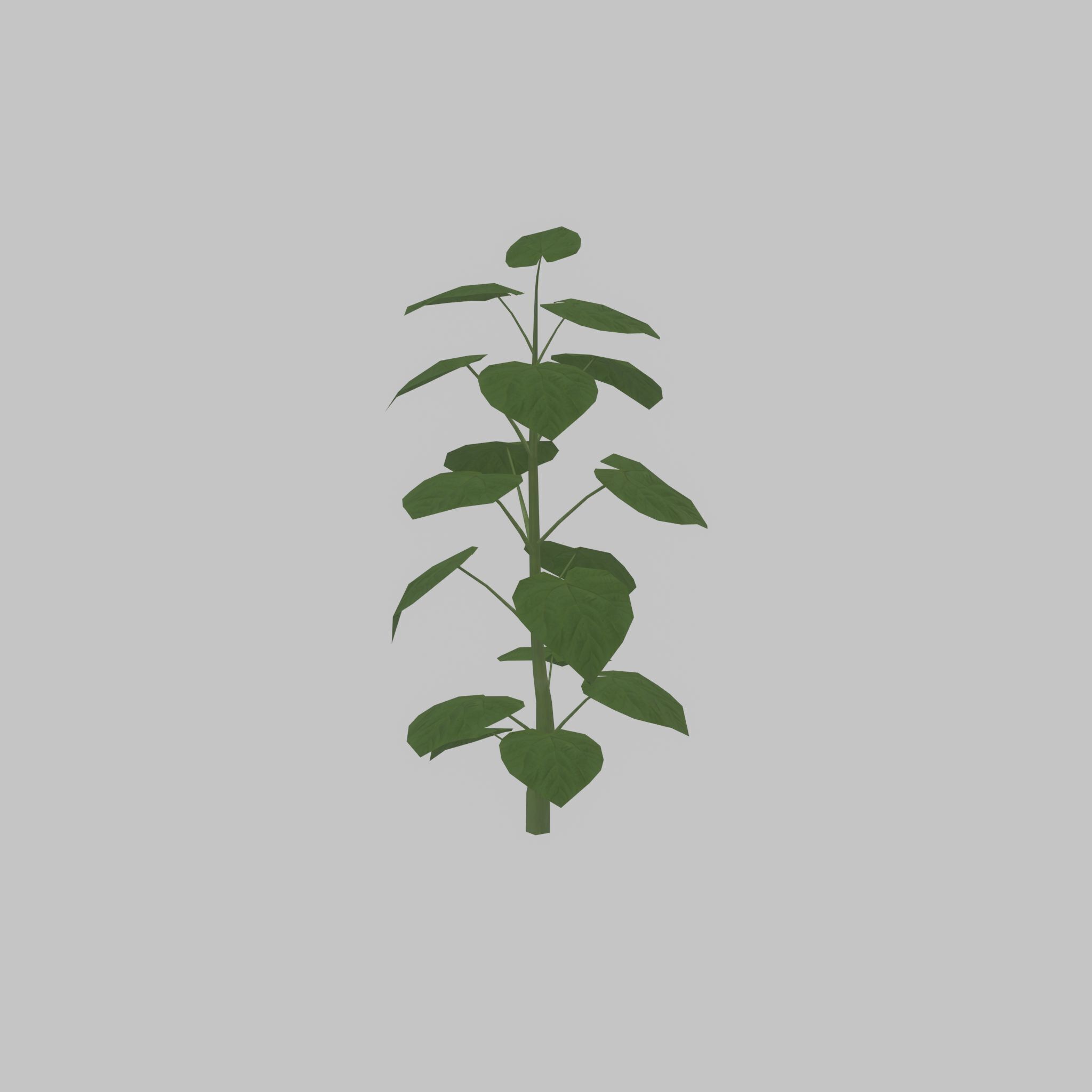 Empress tree summer LOD2 2000mm Low-poly 3D model_29