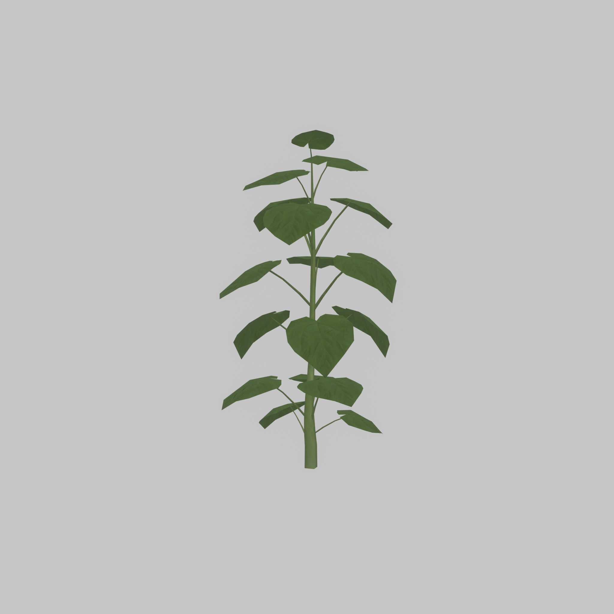 Empress tree summer LOD2 2000mm Low-poly 3D model_42