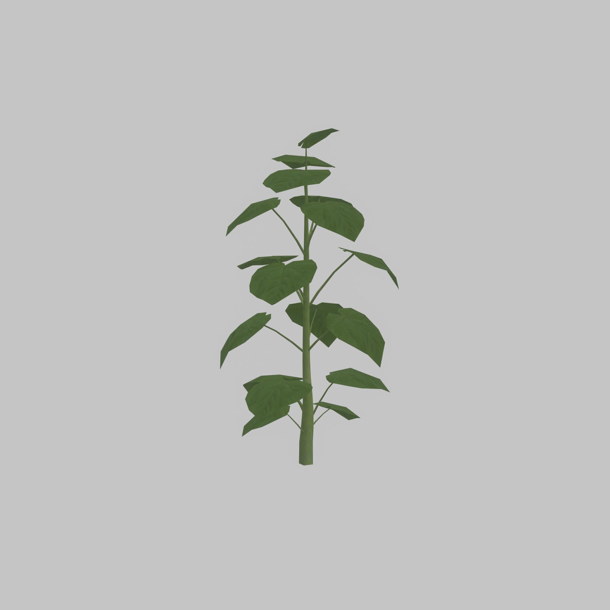 Empress tree summer LOD2 2000mm Low-poly 3D model_38
