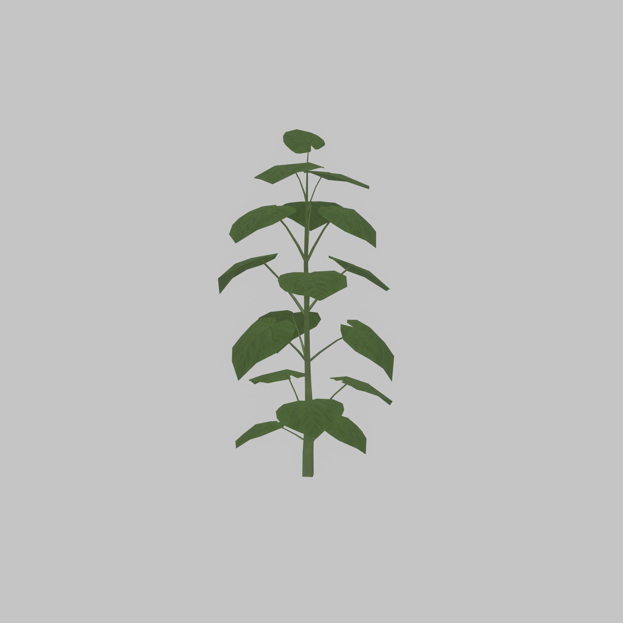 Empress tree summer LOD2 2000mm Low-poly 3D model_25