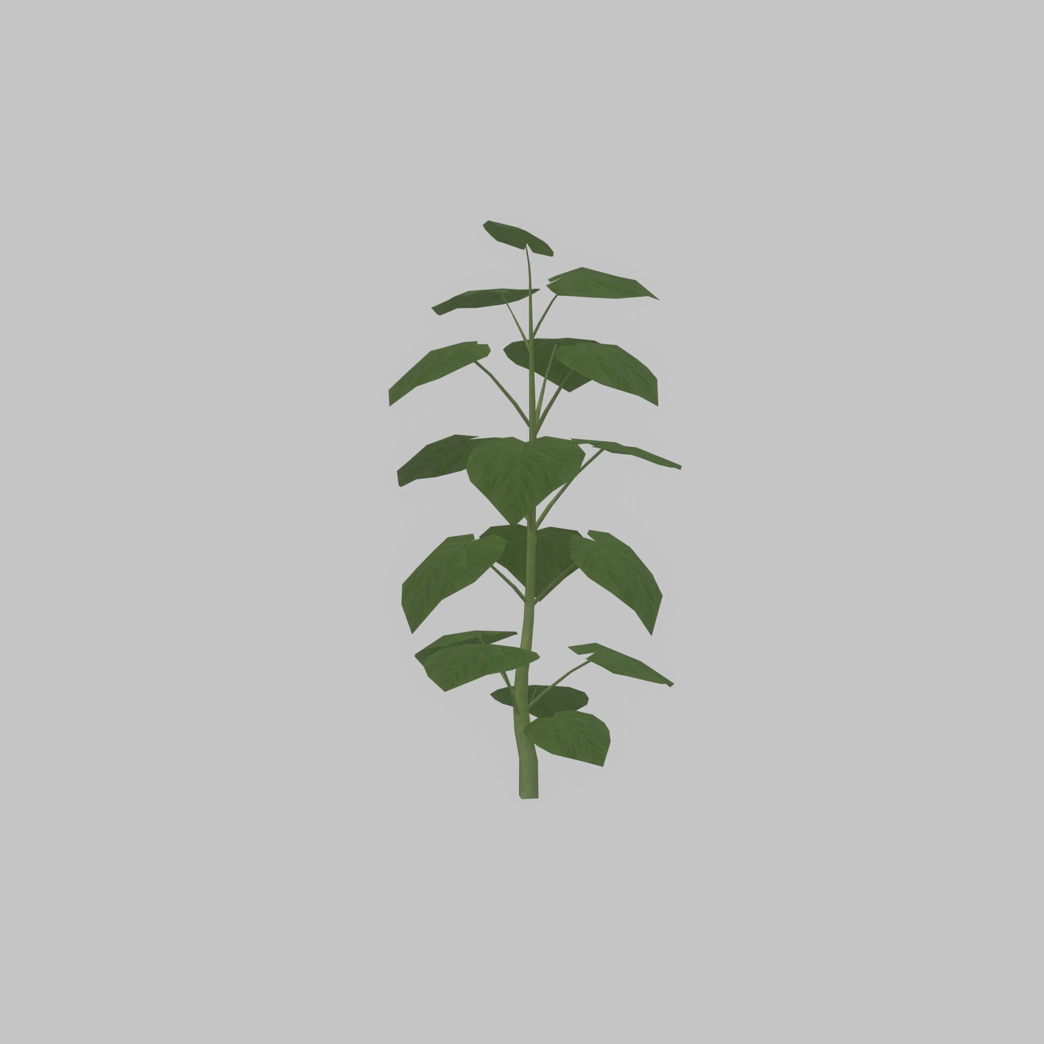 Empress tree summer LOD2 2000mm Low-poly 3D model_45