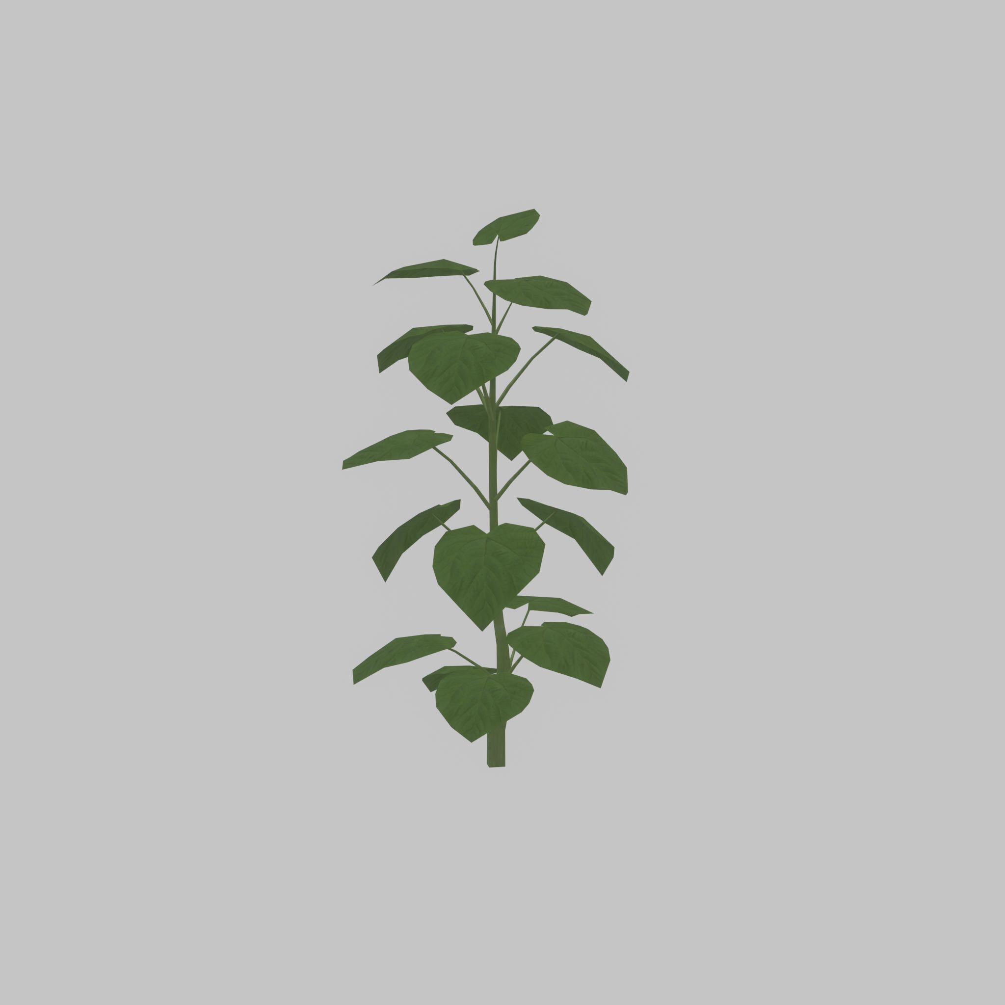 Empress tree summer LOD2 2000mm Low-poly 3D model_31