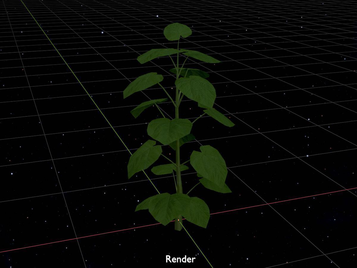 Empress tree summer LOD2 2000mm Low-poly 3D model_17