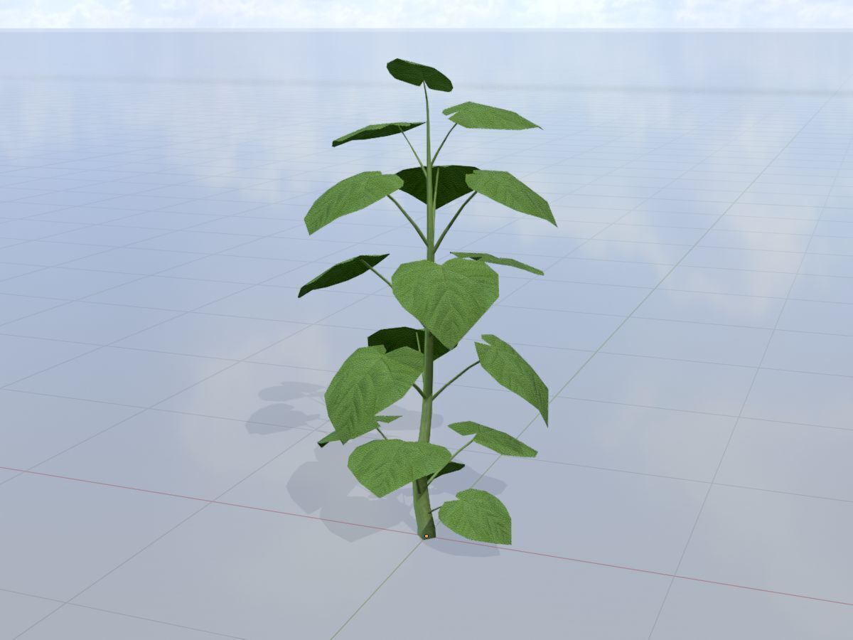 Empress tree summer LOD2 2000mm Low-poly 3D model_3