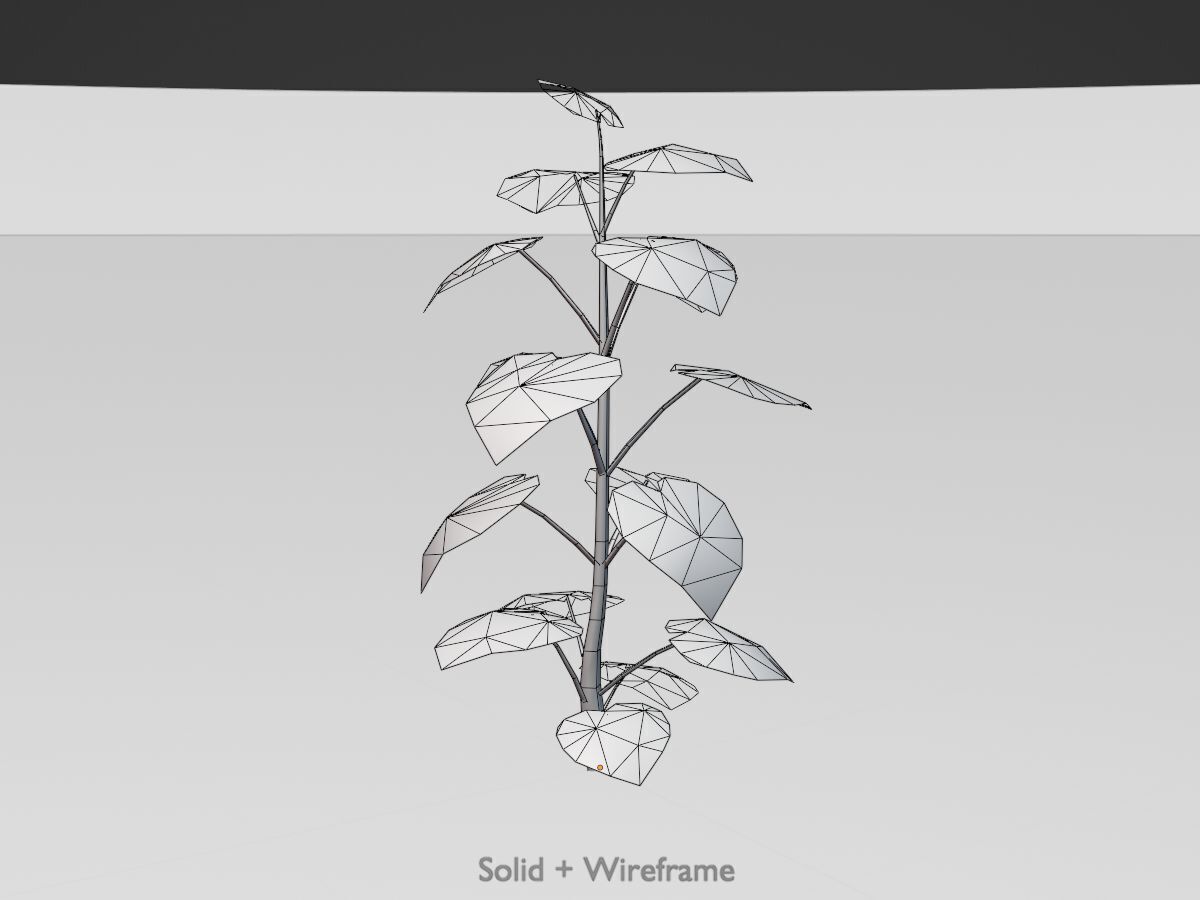 Empress tree summer LOD2 2000mm Low-poly 3D model_11