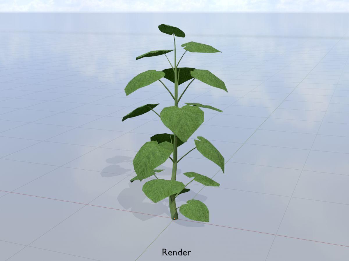 Empress tree summer LOD2 2000mm Low-poly 3D model_15