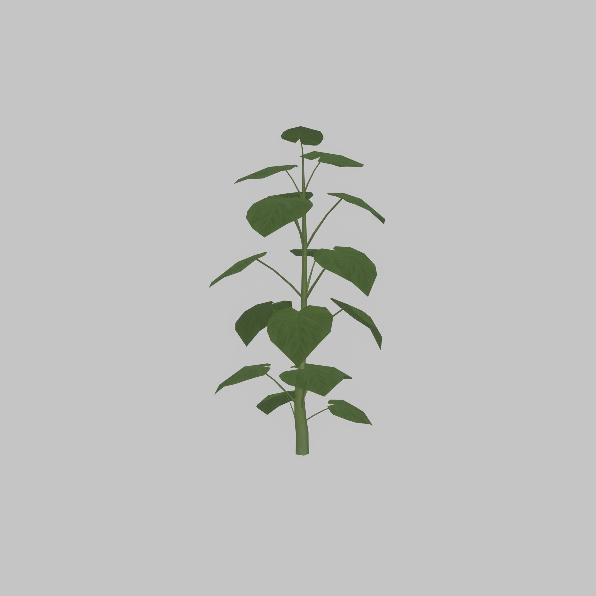 Empress tree summer LOD2 2000mm Low-poly 3D model_44