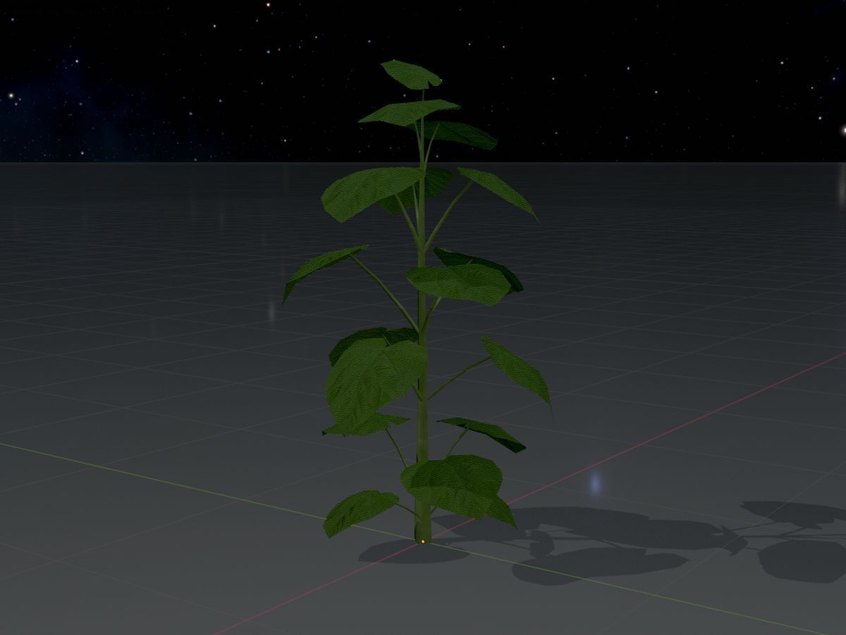 Empress tree summer LOD2 2000mm Low-poly 3D model_4