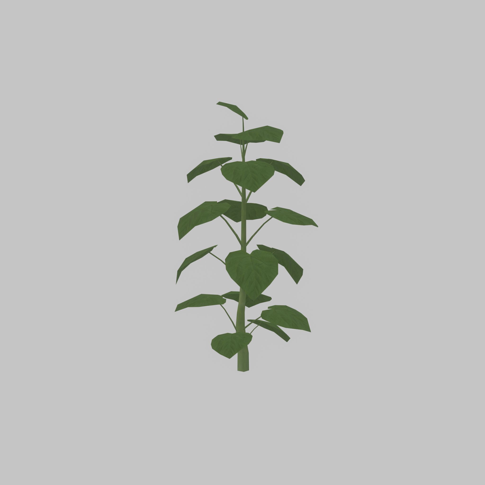 Empress tree summer LOD2 2000mm Low-poly 3D model_49
