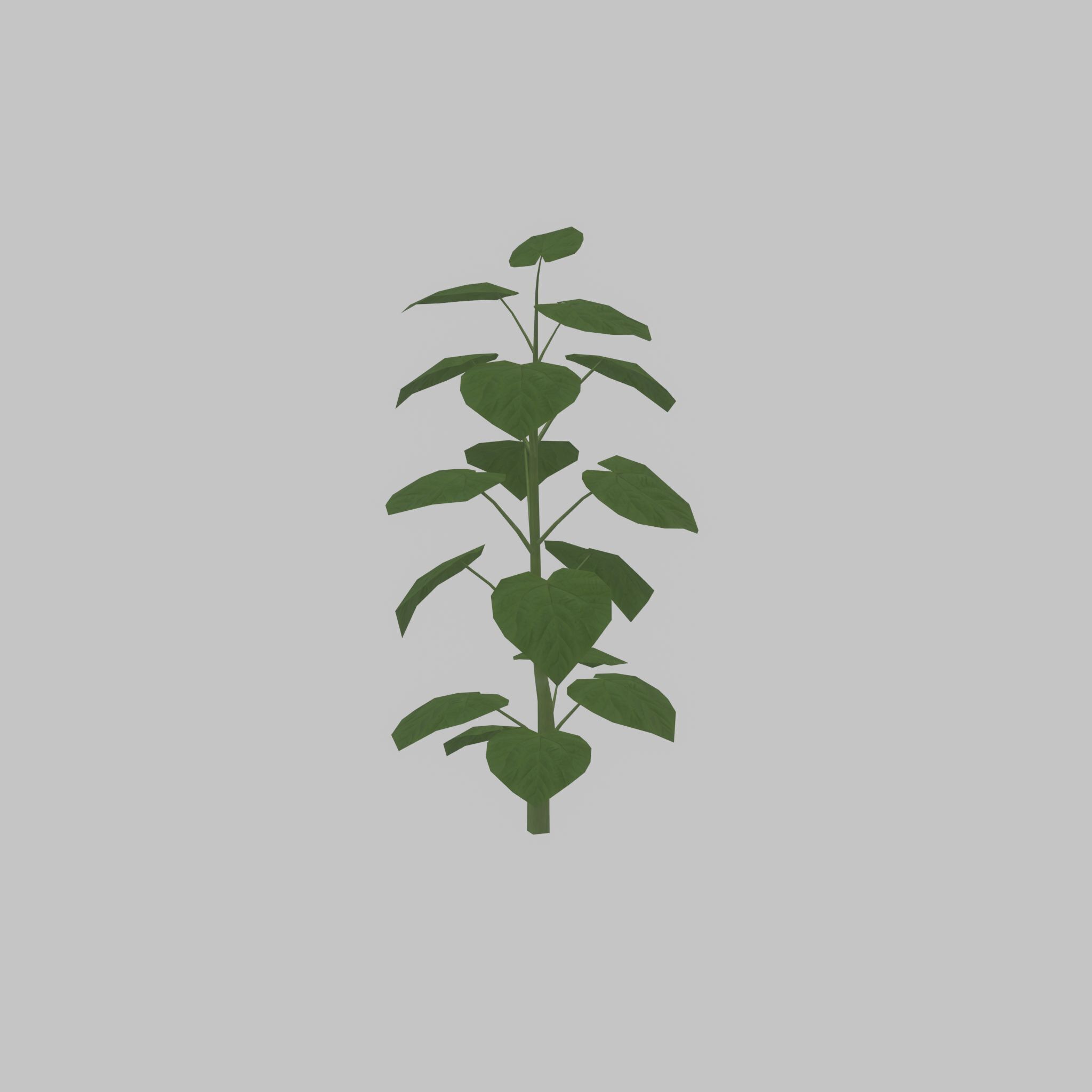 Empress tree summer LOD2 2000mm Low-poly 3D model_30