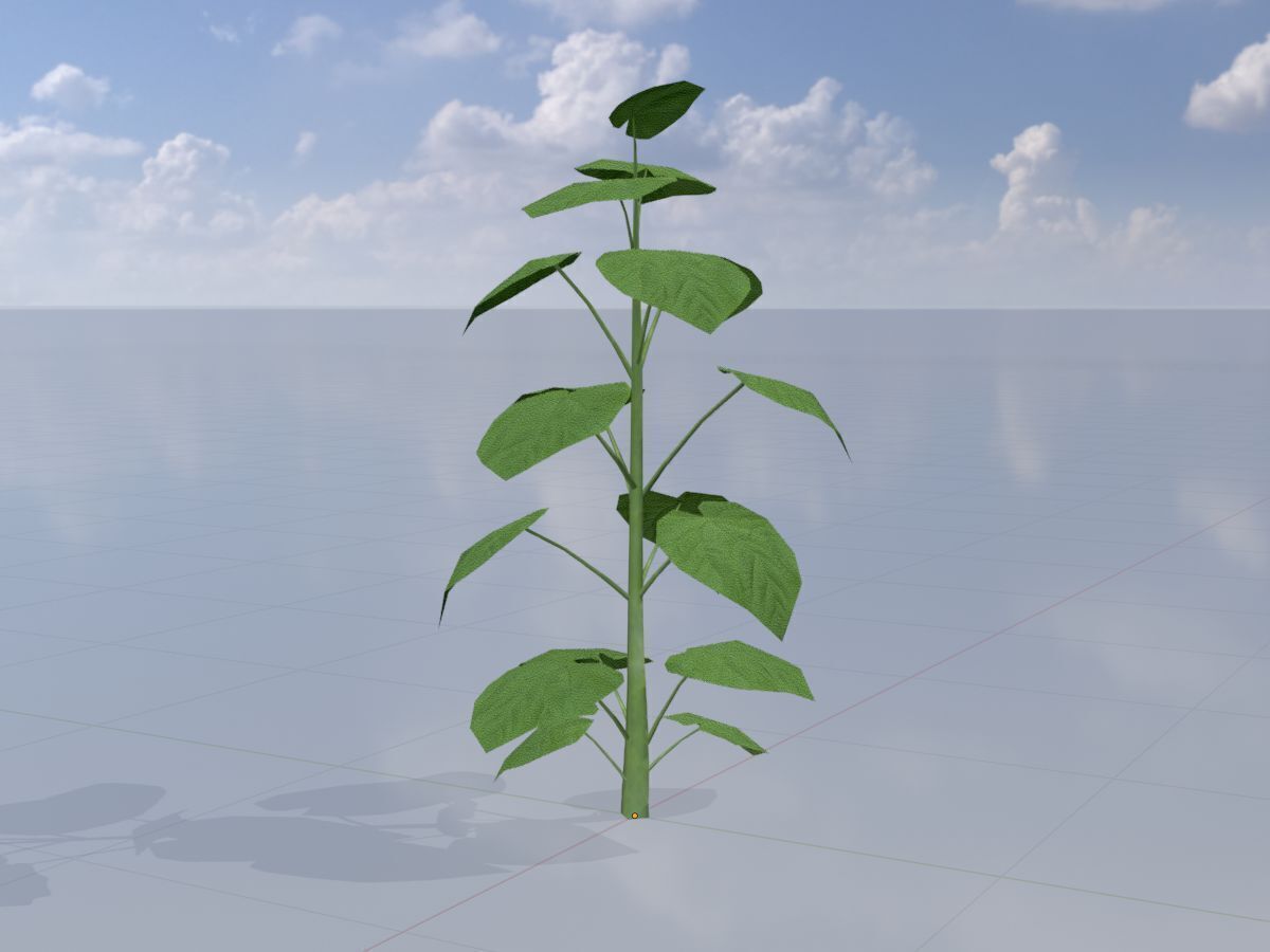 Empress tree summer LOD2 2000mm Low-poly 3D model_2