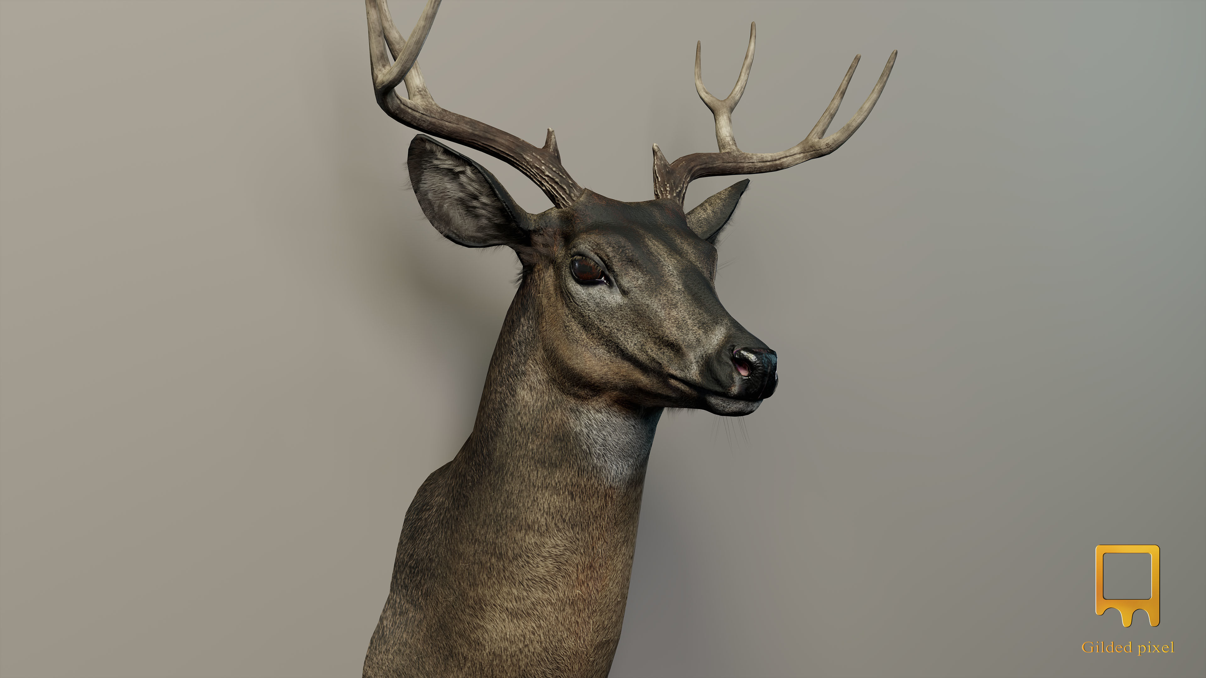 Full Trophy Head Collection - Photorealistic PBR 3D Models _20