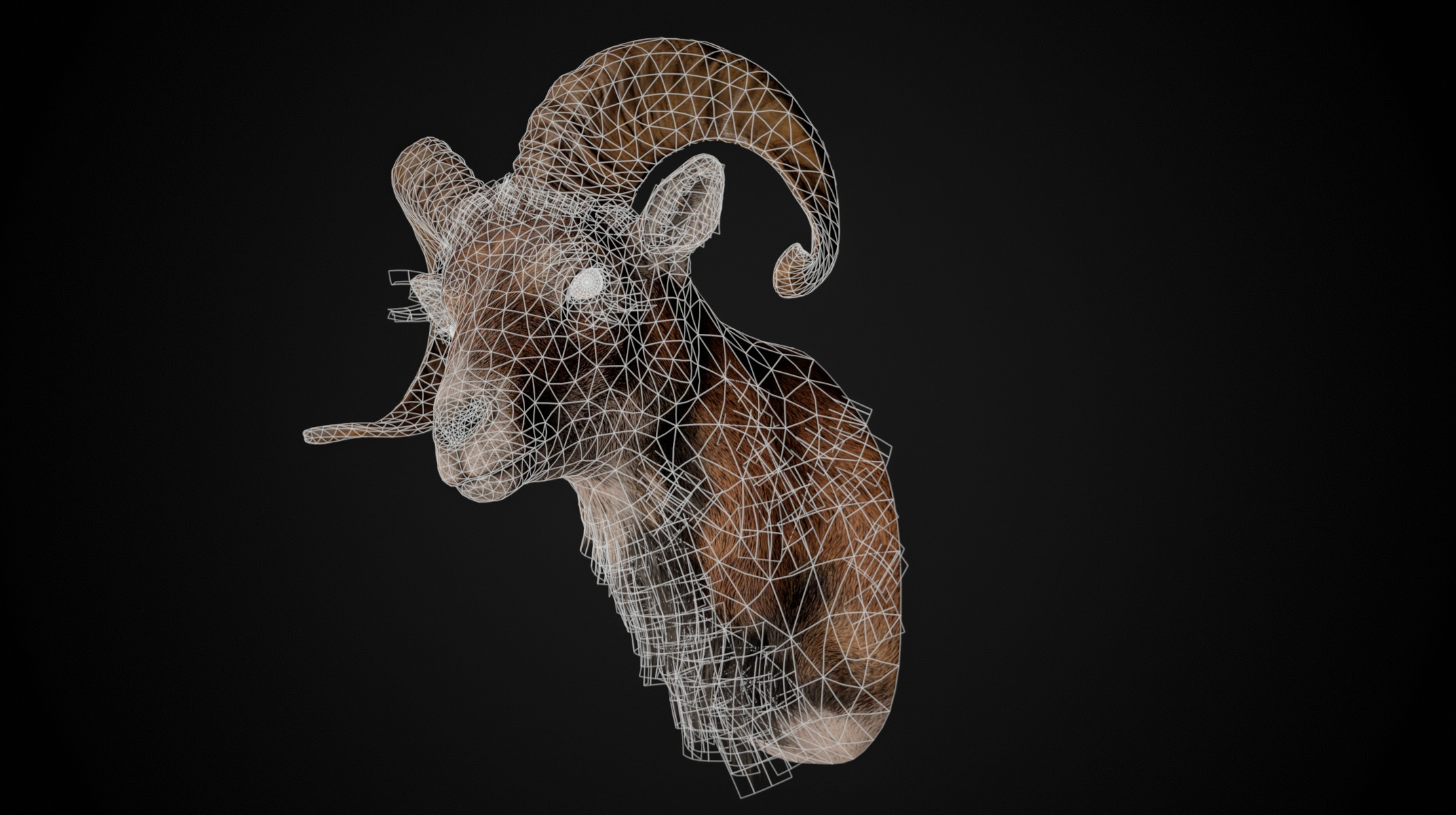 Full Trophy Head Collection - Photorealistic PBR 3D Models _15