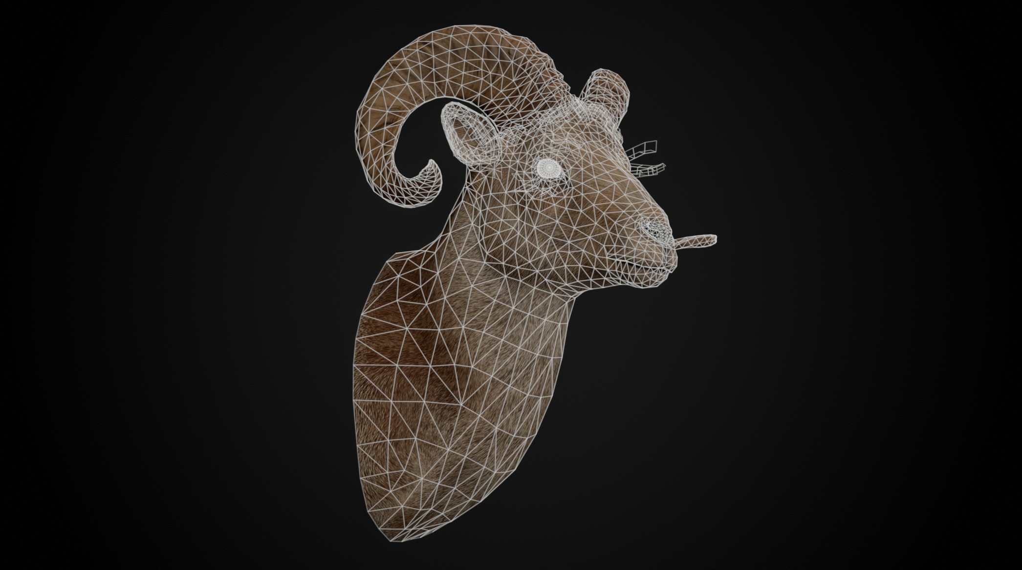 Full Trophy Head Collection - Photorealistic PBR 3D Models _30