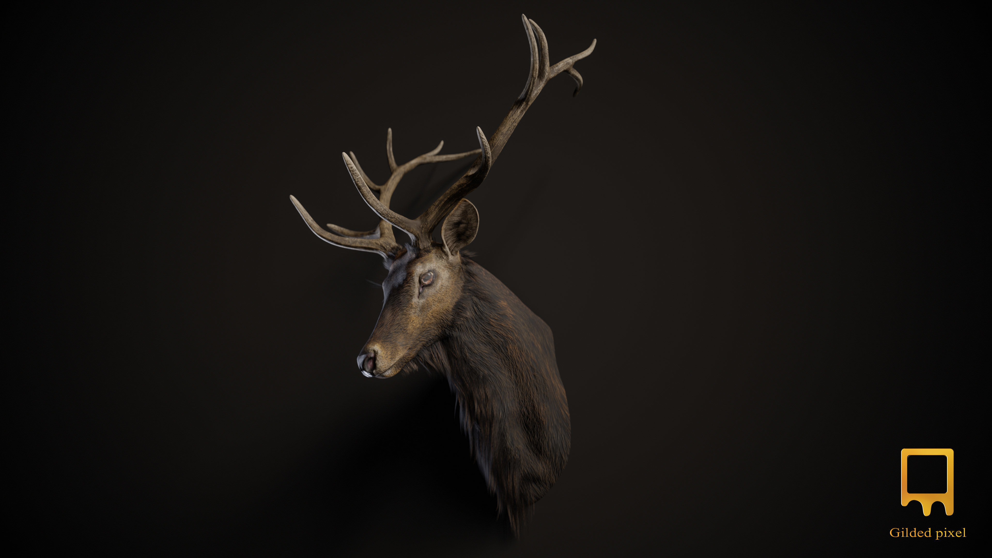 Full Trophy Head Collection - Photorealistic PBR 3D Models _23