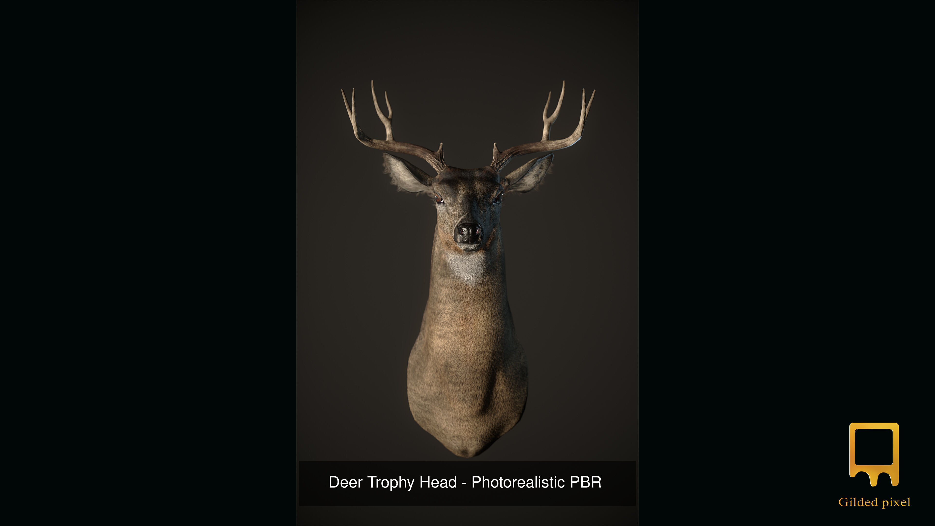 Full Trophy Head Collection - Photorealistic PBR 3D Models _19