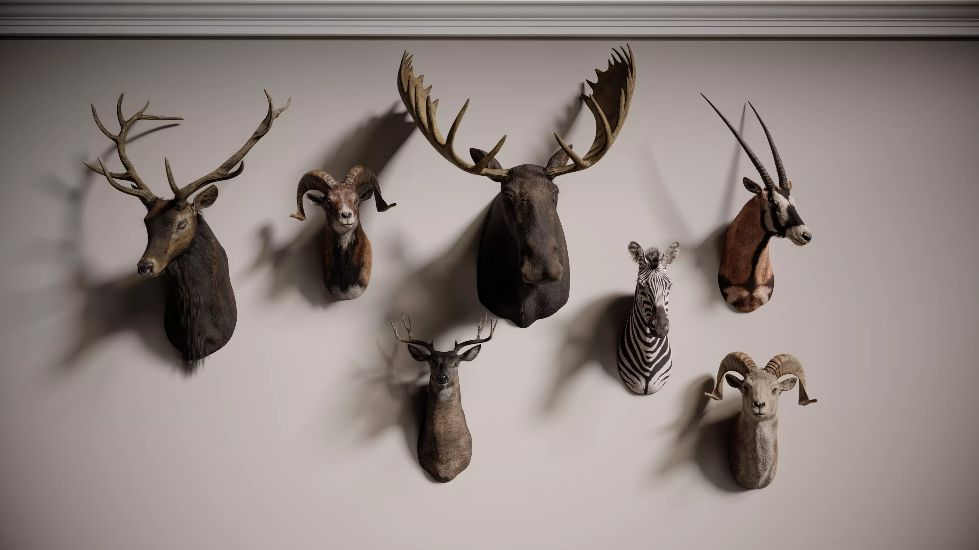 Full Trophy Head Collection - Photorealistic PBR 3D Models _0