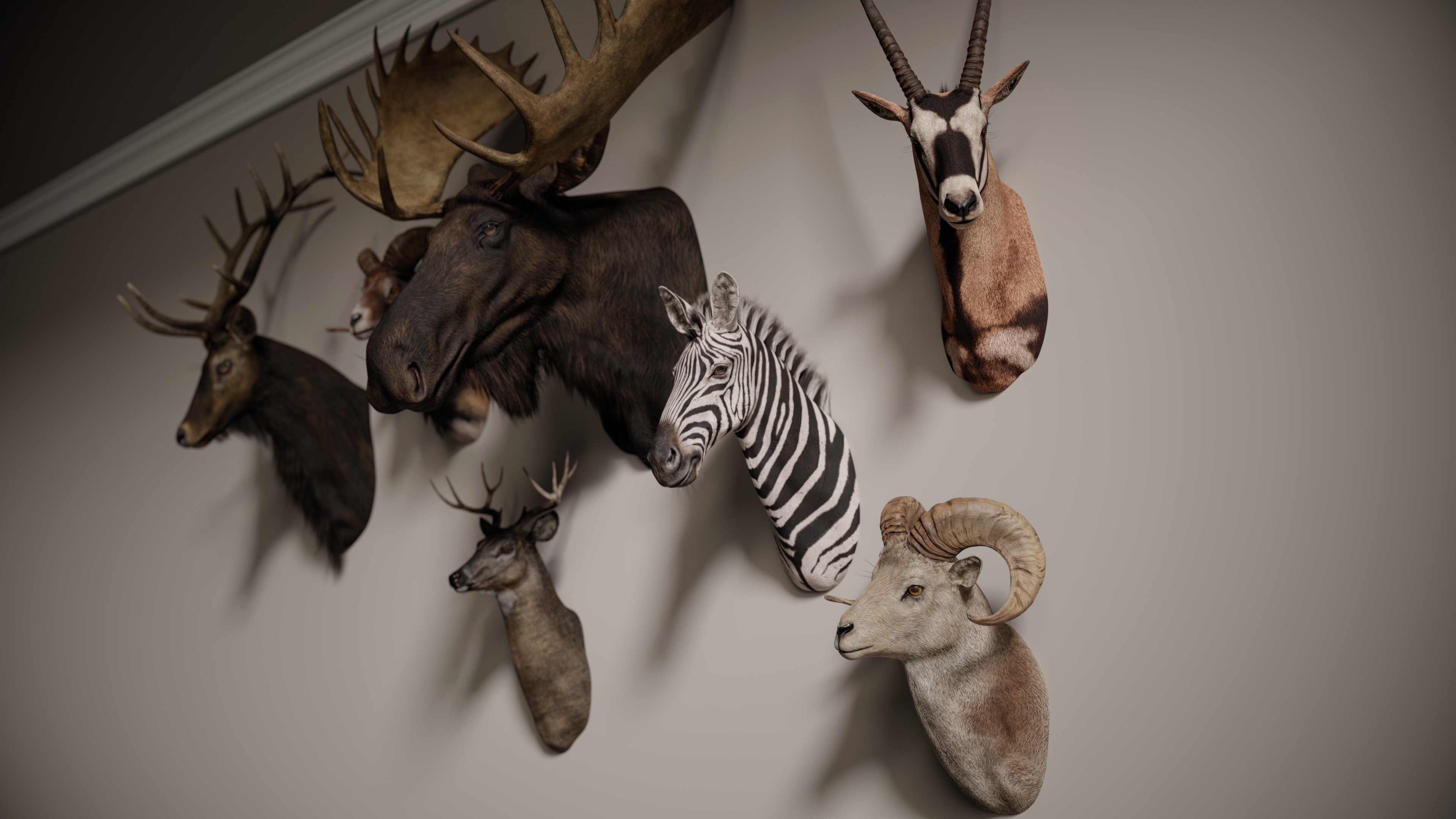 Full Trophy Head Collection - Photorealistic PBR 3D Models _8