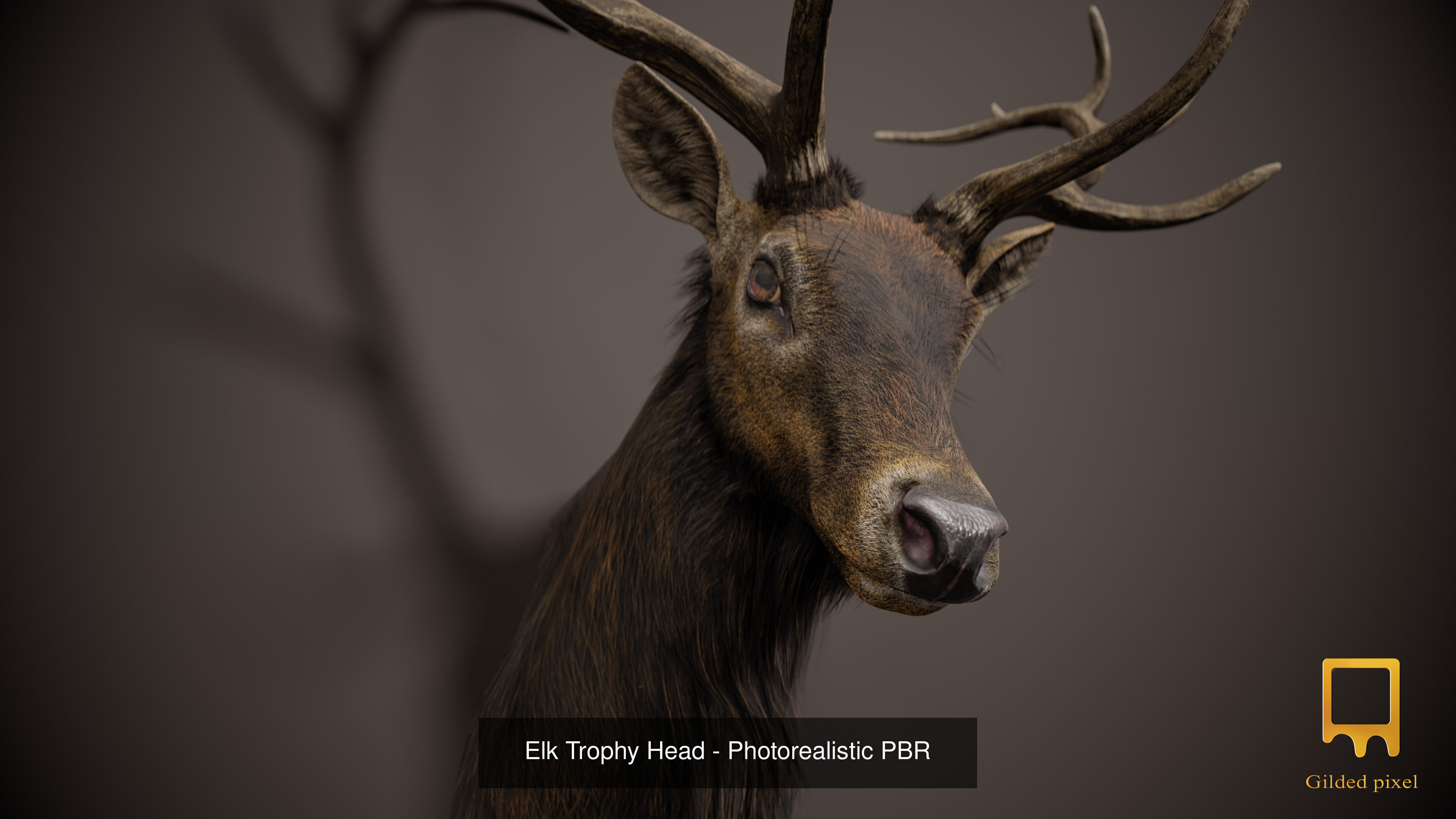 Full Trophy Head Collection - Photorealistic PBR 3D Models _22