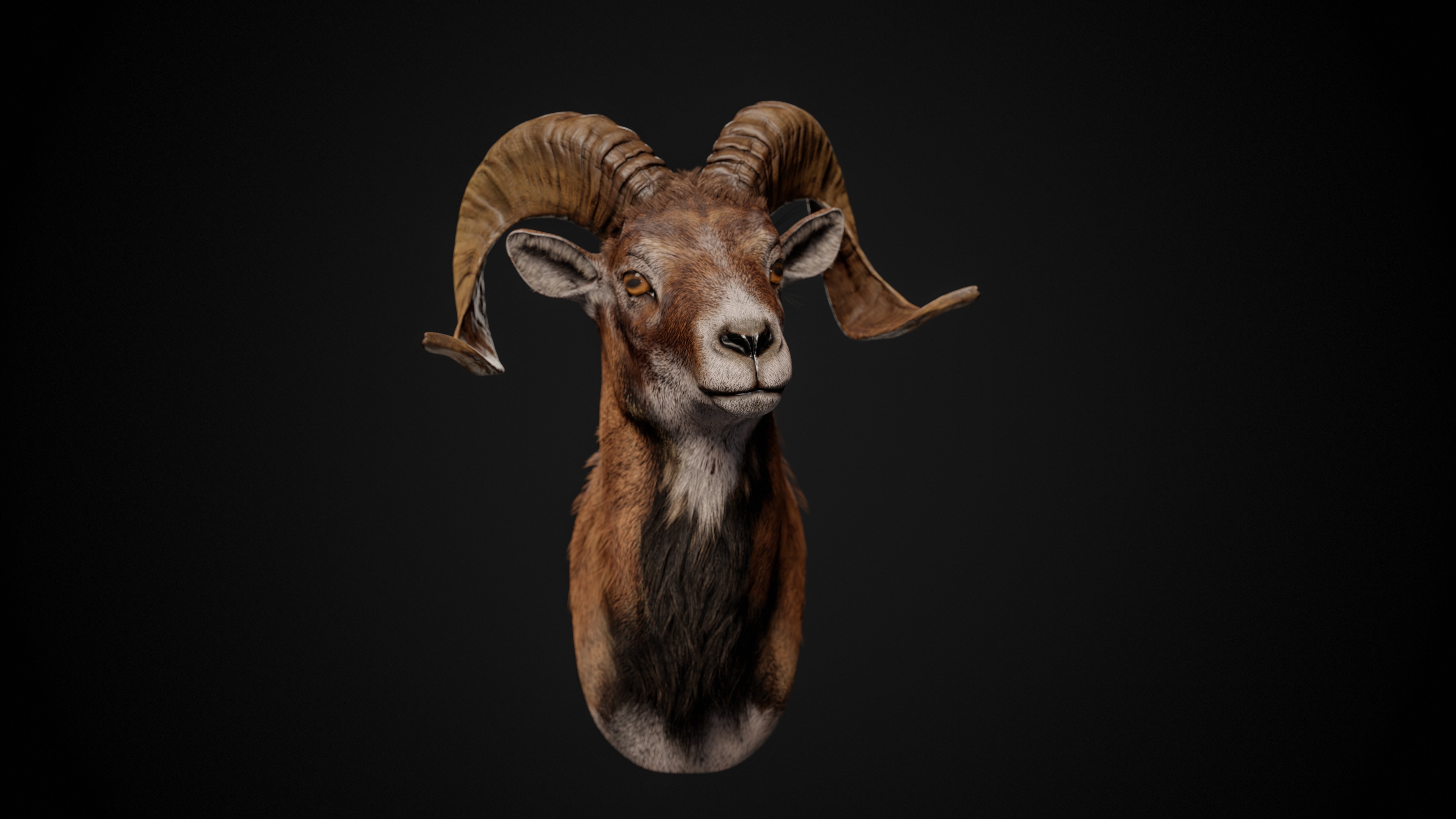 Full Trophy Head Collection - Photorealistic PBR 3D Models _14