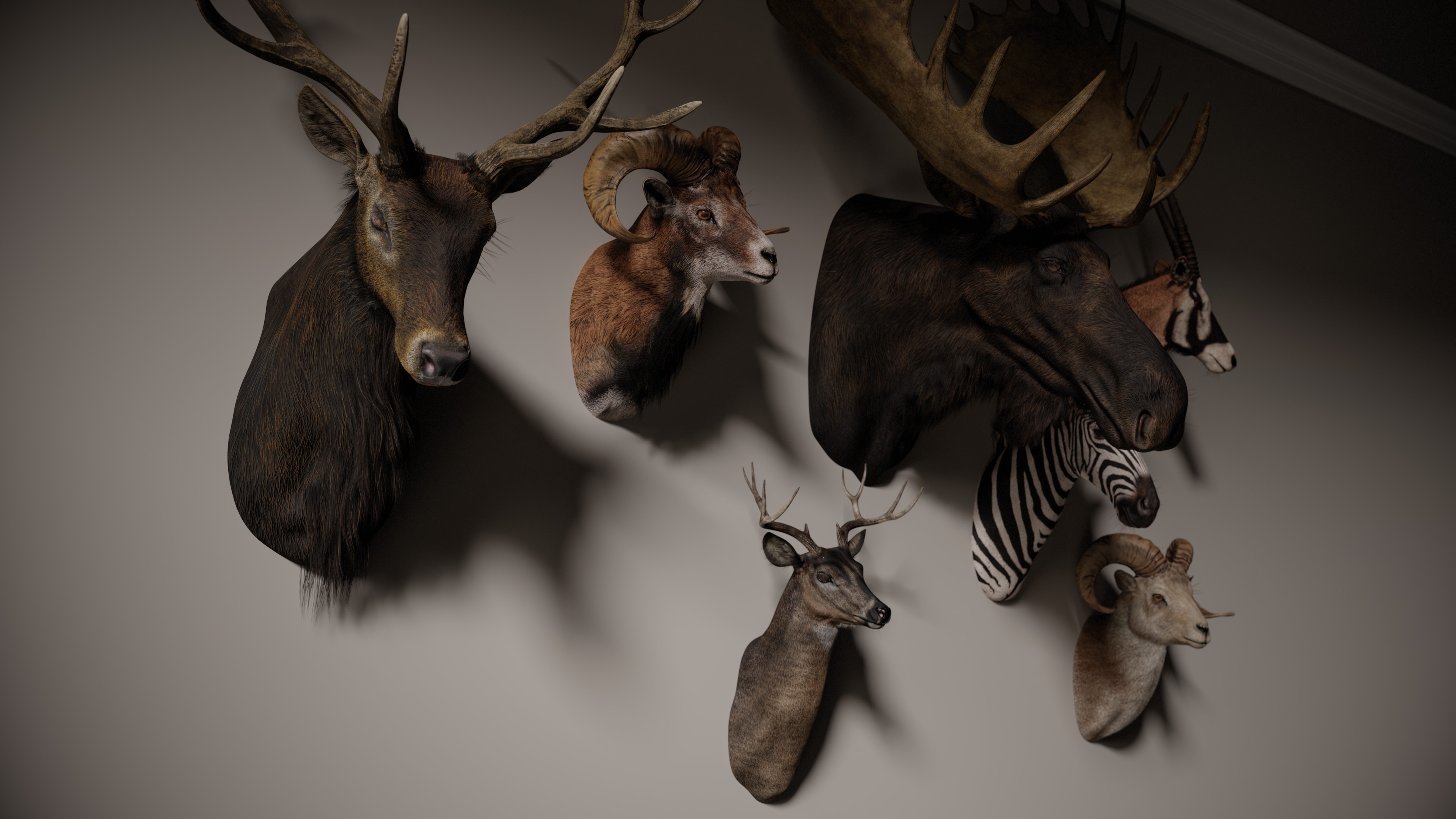 Full Trophy Head Collection - Photorealistic PBR 3D Models _9