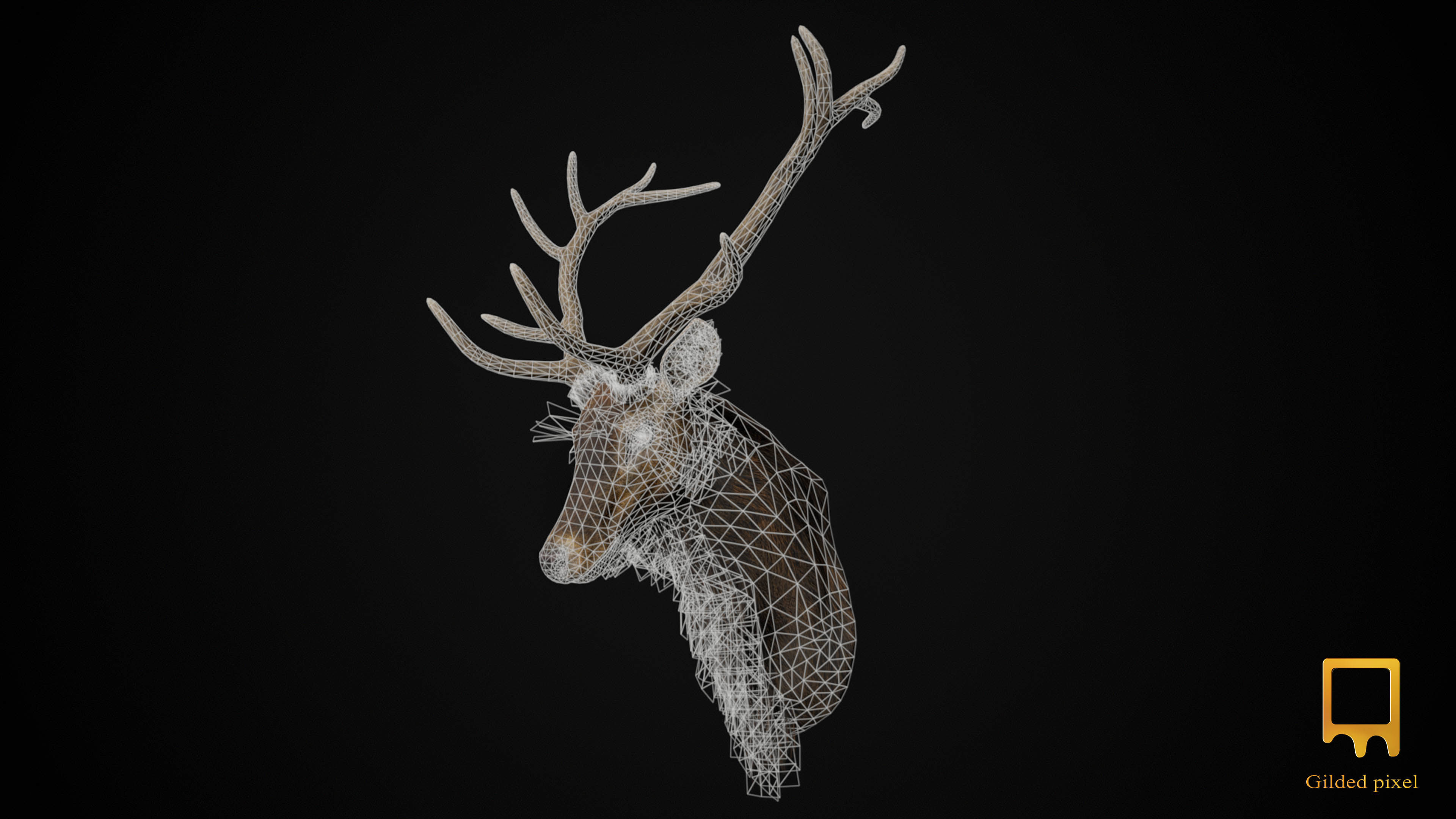 Full Trophy Head Collection - Photorealistic PBR 3D Models _24