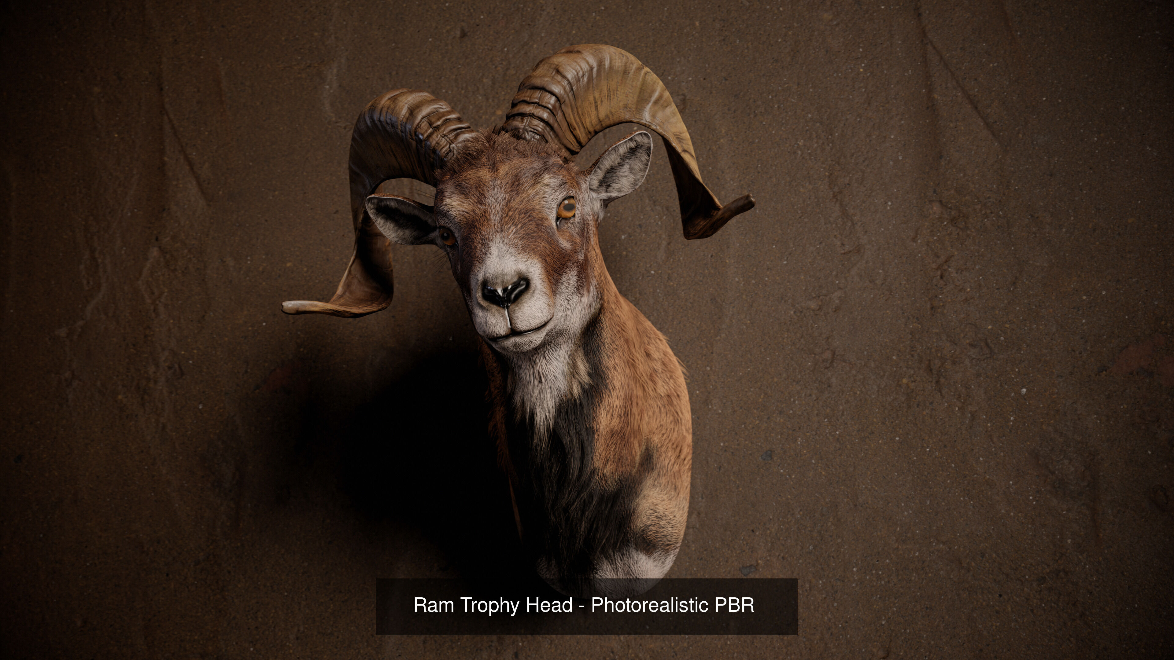 Full Trophy Head Collection - Photorealistic PBR 3D Models _13