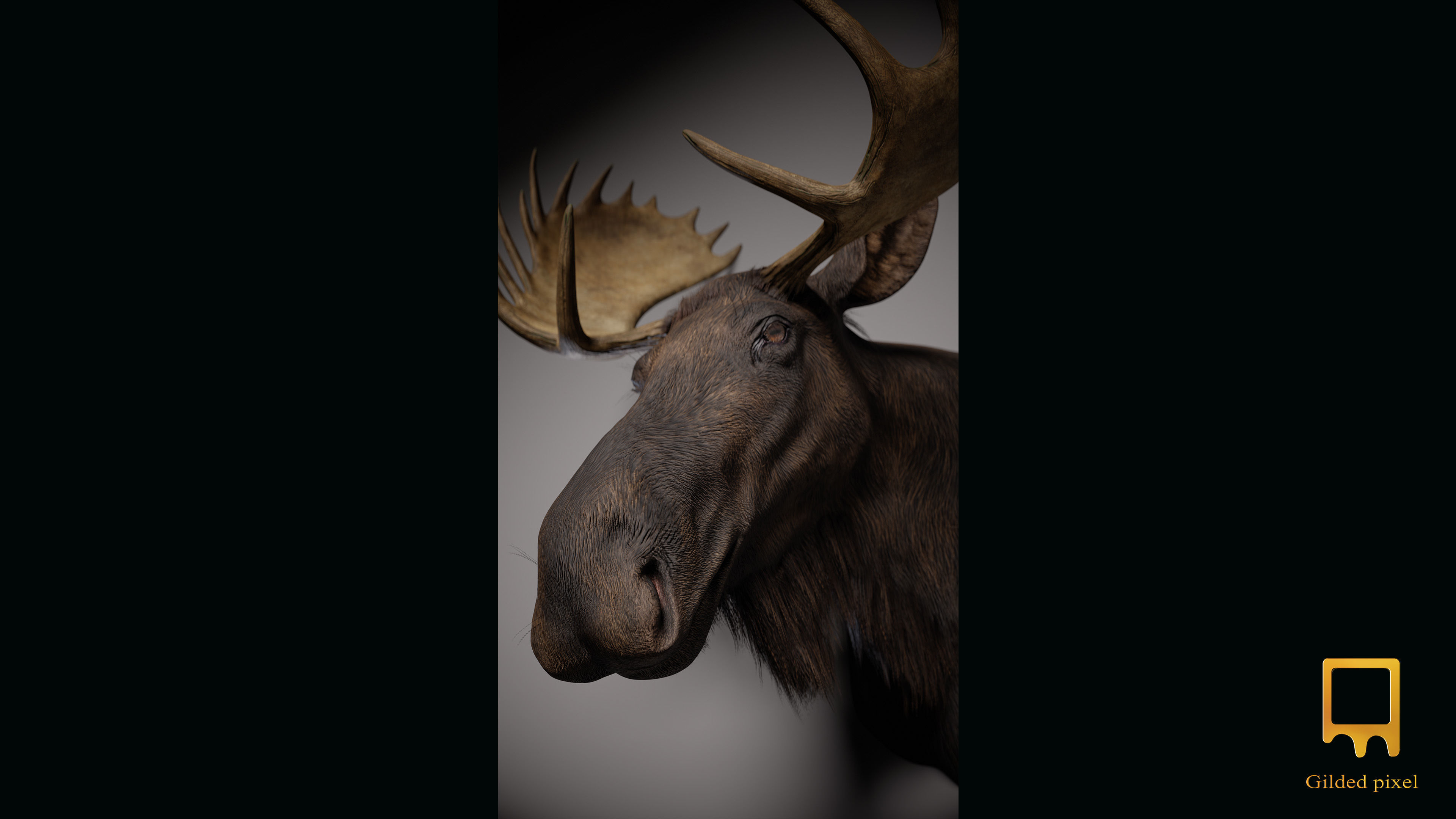 Full Trophy Head Collection - Photorealistic PBR 3D Models _17