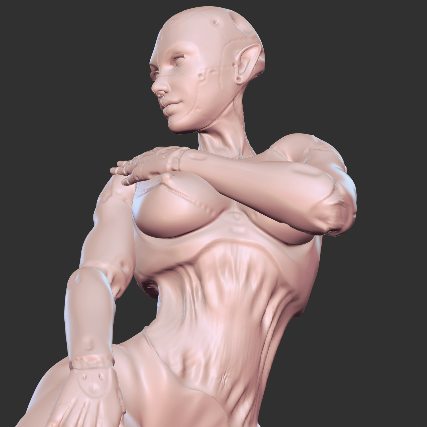 Thicc Cyber Girl with High-Tech Armor STL 3D print model_1
