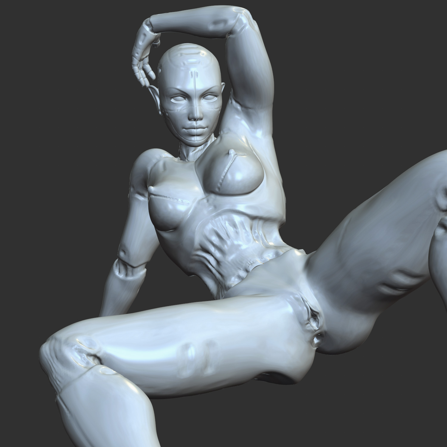 Seductive Cyber Girl with Robotic Arms 3D STL 3D print model_4
