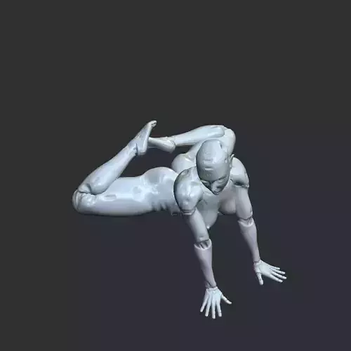 Sci-Fi Cybernetic Girl NSFW Pin-Up 3D Print Model